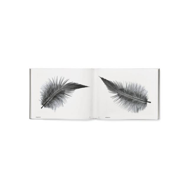 STARLING - SØREN SOLKÆR - SIGNERET UDGAVE