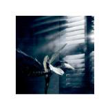 COND1600-LANG1-3e21eae0-e348-43d2-bf75-a7425a44c56e
