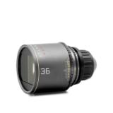 MERC0036300m-LANG1-65646022-bc9d-4605-bdb1-1896d49d3c66