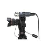 ZOOMH5-LANG1-74ff753e-9cbf-4625-bdbb-eaa81e0fb61b