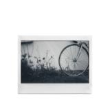 FUJI16564101-LANG1-da8fddbe-3d04-4fe7-9686-b9853c22fd71