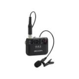 ZOOMF2BT-LANG1-f49cb768-d7af-4e30-b950-7c8066ce1976